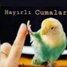 Fuat C 的头像
