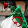 أحمد الجزائري أحمدي 的头像