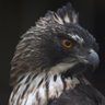 しき profil fotoğrafı