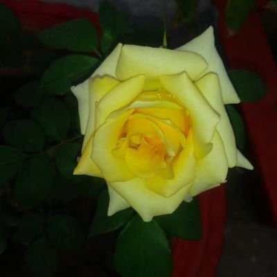 Vinayak3491's profile picture