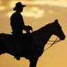 Back in the Saddle's profile picture