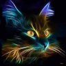 DEn Toffa's profile picture