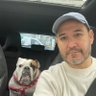 Rodrigo Vallejos's profile picture