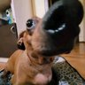 Luciano Dos santos L's profile picture