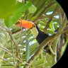 Фото профиля spookytoucan