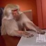 Abraham Meloyo's profile picture