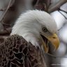 Mike Smitty 🇺🇸 profil fotoğrafı