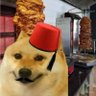 Maciej's profile picture