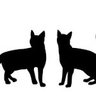 THE_TWO_TABBY_CATS 的头像