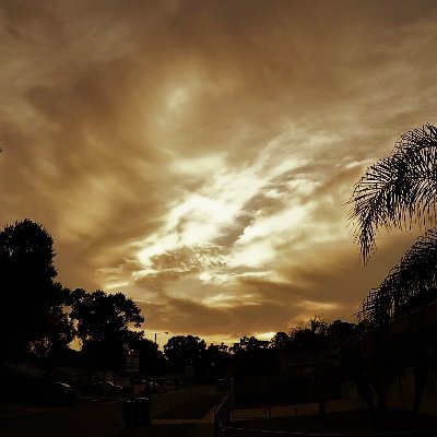 NuffPlaces2Hide's profile picture