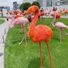 武汉绿主 安迪 profil fotoğrafı