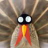 Dindonmasker Ⓥ's profile picture