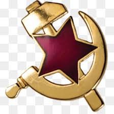inesdlx's profile picture