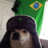 João🍷🗿's profile picture
