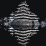 やまのふじ 2号's profile picture
