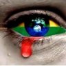 Profilbild von DEUS -ISRAEL -🇧🇷#VemPraCaDireita 🙏