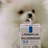 Fabi's profile picture