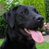 Spud profil fotoğrafı
