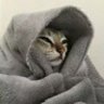 𝕷𝖎𝖆's profile picture