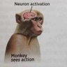 SnakeMonkey's profile picture