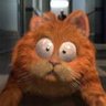 The Garf profil fotoğrafı