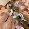 Фото профиля Siraz_L(しらずーる