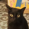 ghost's profile picture