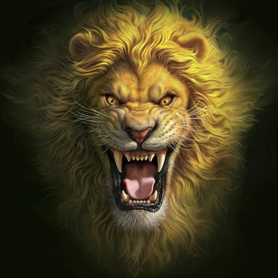 JohnBoy's profile picture
