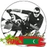 Profilbild von Ali Shameem