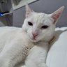 Фото профиля Oscar