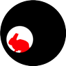 rabbithole 的头像