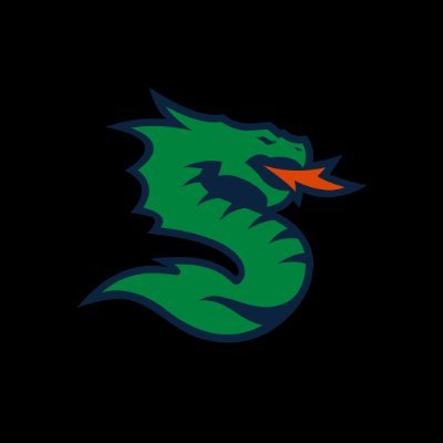 Seattle Sea Dragons's profile picture