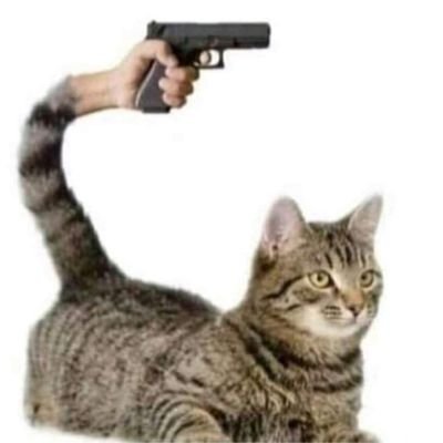 katameryona's profile picture
