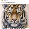 Profilbild von 엘런