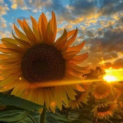 A42382326's profile picture