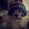 wes aka weez aka weezues's profile picture