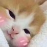 💗 的头像
