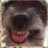Profilbild von CamiPog