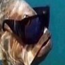 Me Also Me's profile picture