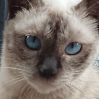 utakata710's profile picture