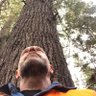 Mark's profile picture