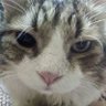 Mona profil fotoğrafı