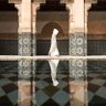 Asim Al Badrani profil fotoğrafı