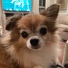 Profilbild von Teddy