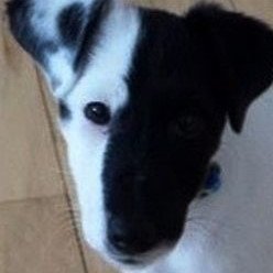 Dan A.'s profile picture