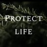 Picobal's profile picture