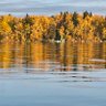 Фото профиля Lynn C