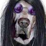 Michael Adams's profile picture