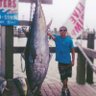 Fish-Anon's profile picture