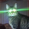 Profilbild von King Klank